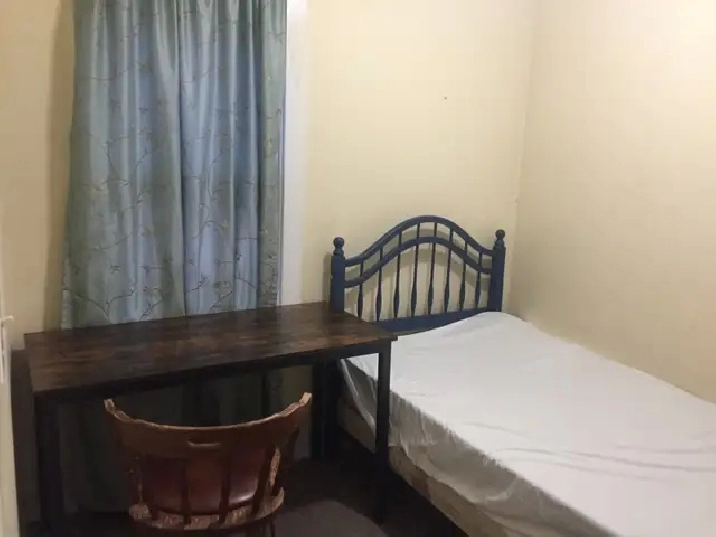 Walk to University.  The room for rent