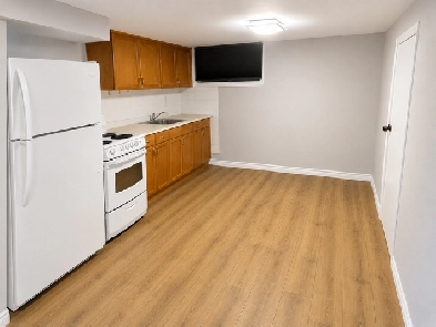 Newly Constructed Basement Apartment