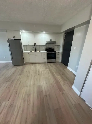 1 Bedroom Apartment Available September in Minnow Lake Area