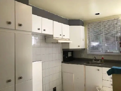 3 12 demi sous-sol DISP MAINTENANT $1050 meublé - 514 621 2863