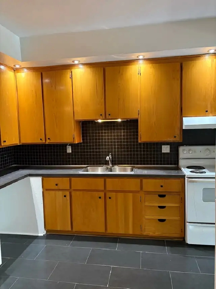 1 FREE MONTH…PLATEAU…4-5 Bedroom…2 FULL BATHROOMS…HUGE APT