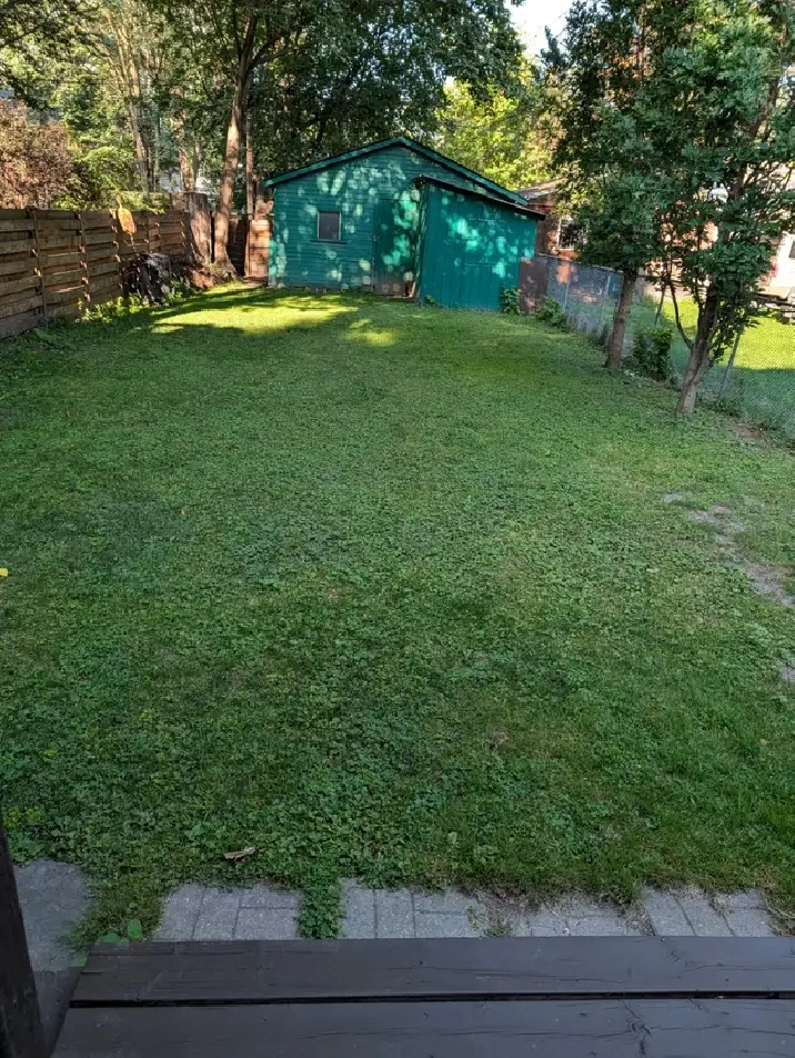 Photo 25