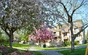 2 bedroom, 2 bathroom apartment in Barrhaven for rent