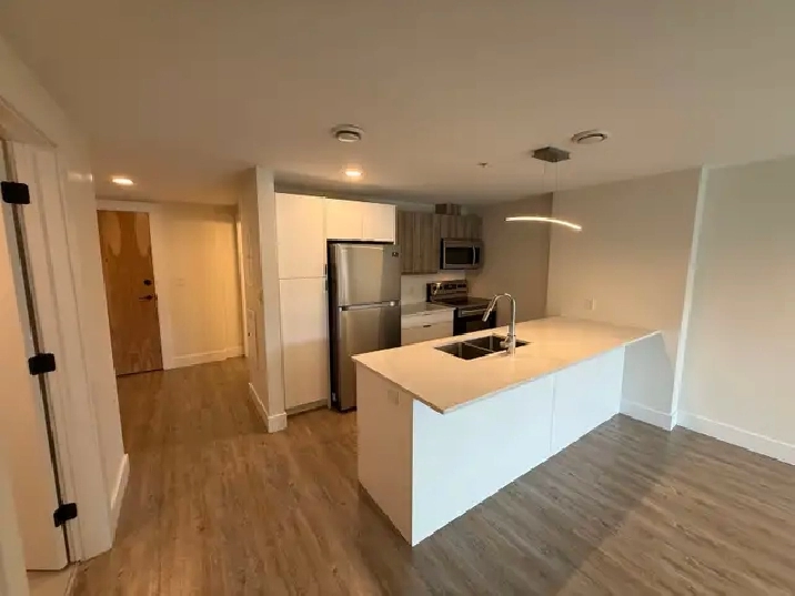 Dog friendly, 1 Bedroom unit, Minutes walk to downtown Halifax