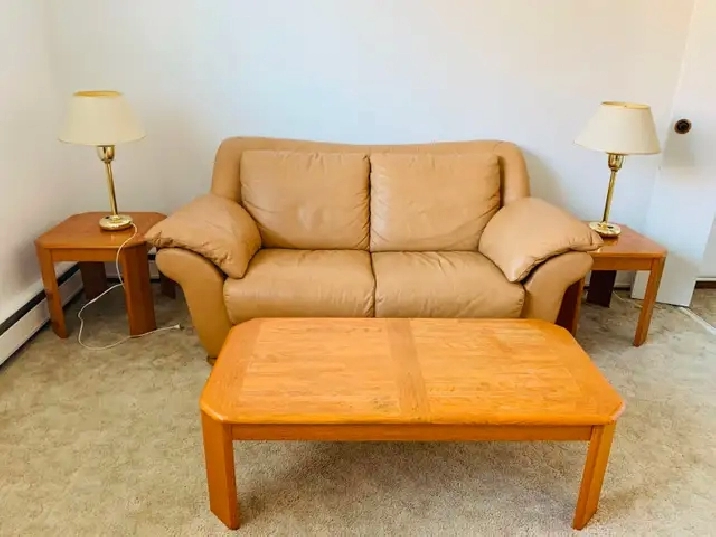 Furnished One BedRm. Suite, Non-Smoking, Eastside Suite