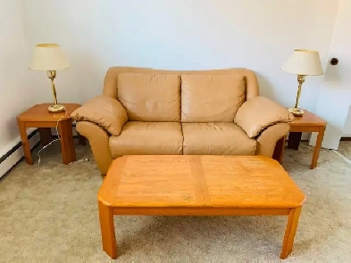 Furnished One BedRm. Suite, Non-Smoking, Eastside Suite