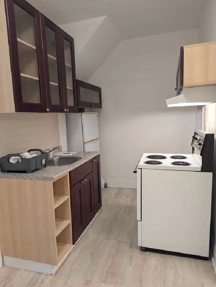 Annex/Mirvish Village 1BDRM Den close to transit, UofT