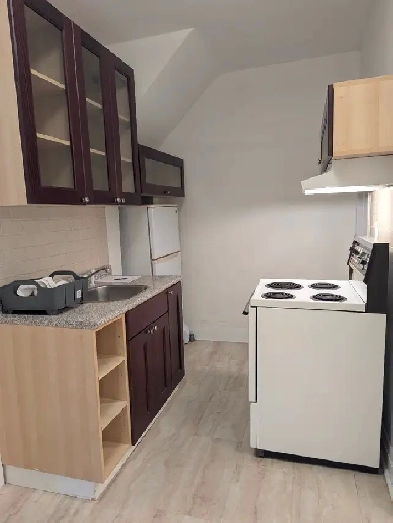Annex/Mirvish Village 1BDRM Den close to transit, UofT