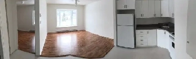 logement  1 chambre, 6 rue Sirois, St-François-de-Madawaska