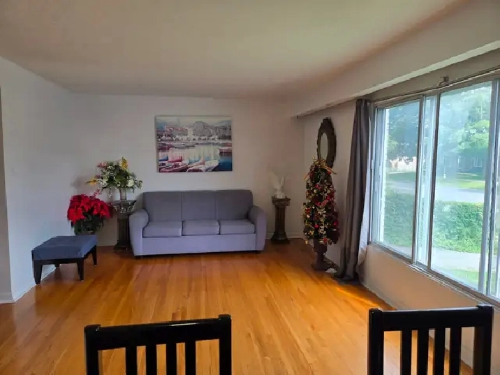 Students & Professionals: Large, Clean Room Near Carleton U.