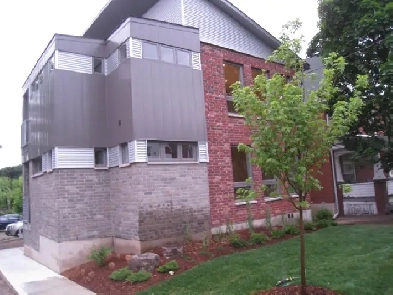 UPSCALE ONE BEDROOM   WORKSPACE, VAULTED CEILINGS, SHED, PARKING