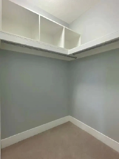 Basement for rent