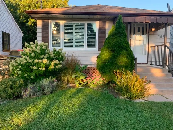 BASEMENT APARTMENT FOR RENT – AVAILABLE FROM OCTOBER 1st