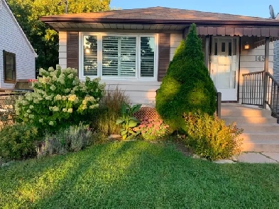 BASEMENT APARTMENT FOR RENT – AVAILABLE FROM OCTOBER 1st