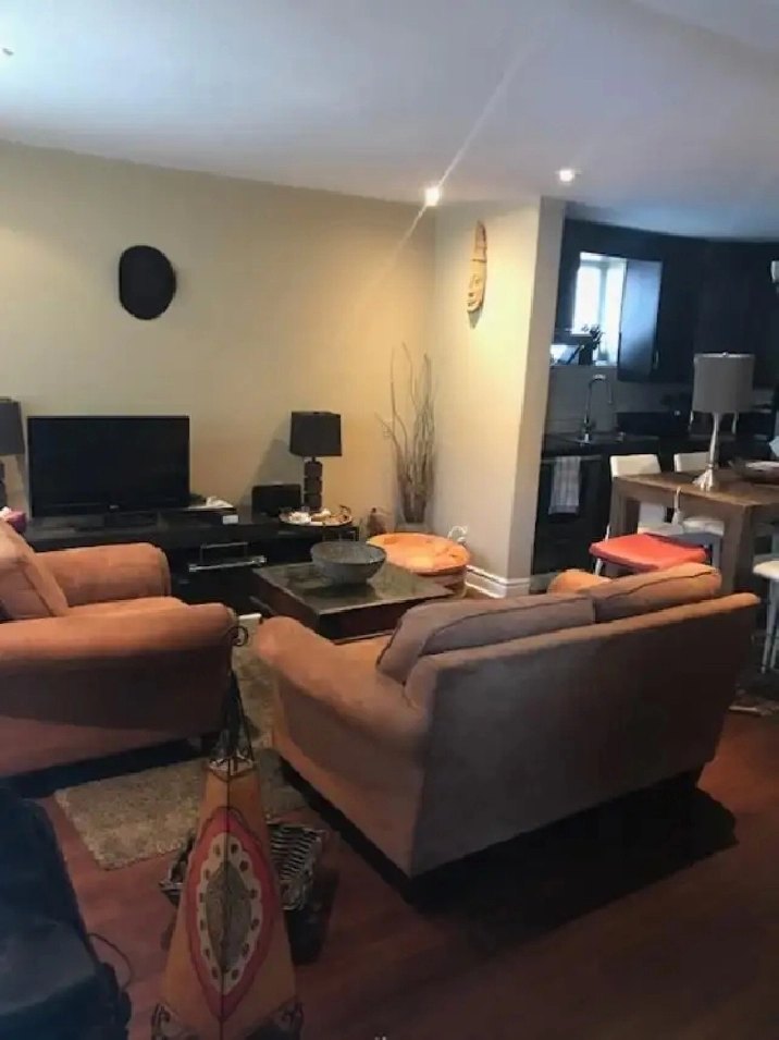 BEAUTIFUL ONE BEDROOM APARTMENT FOR RENTAL SEPTEMBER