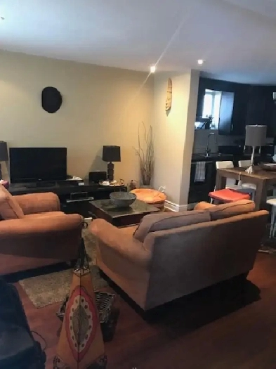 BEAUTIFUL ONE BEDROOM APARTMENT FOR RENTAL SEPTEMBER