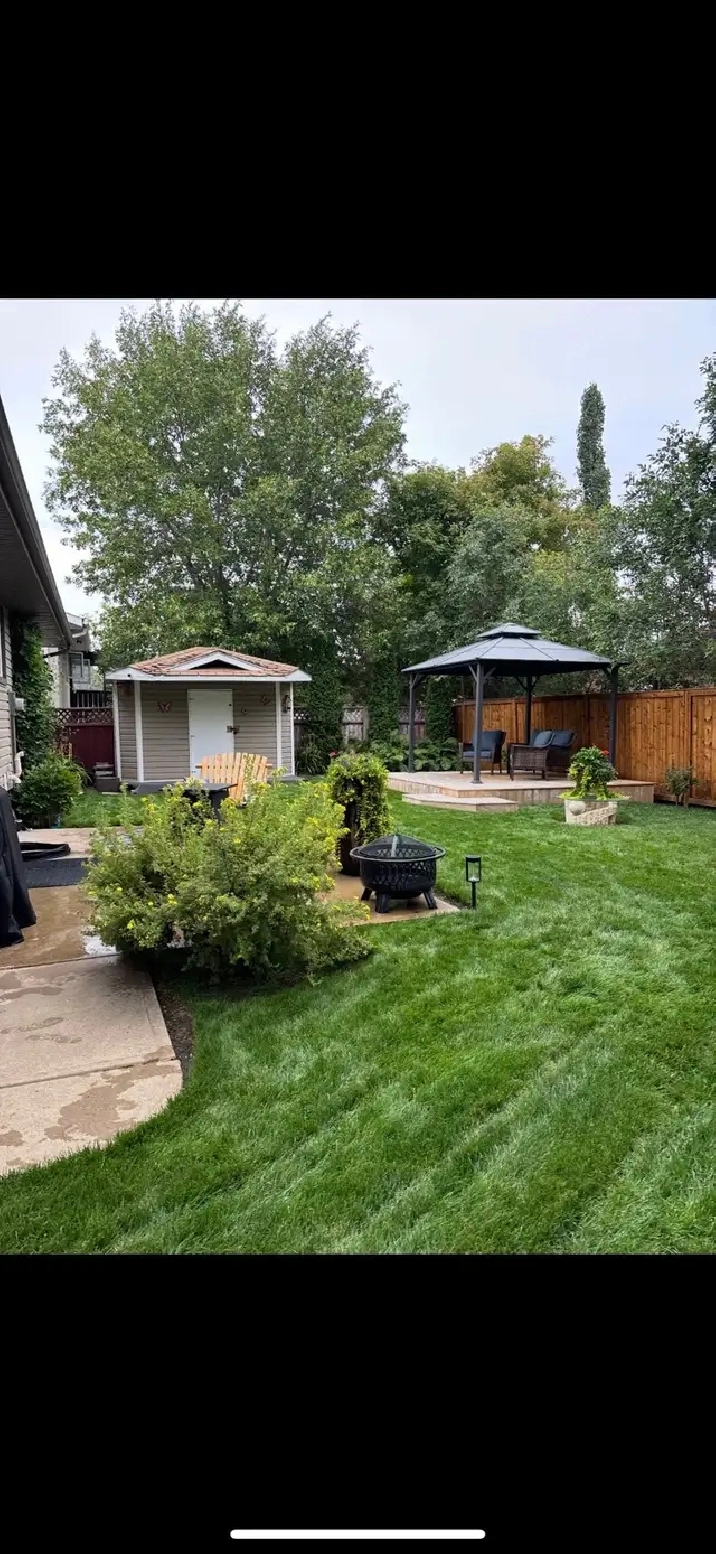Beautiful basement suite available
