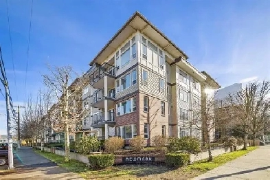 10' Ceiling 2   2 top Floor unit for rent