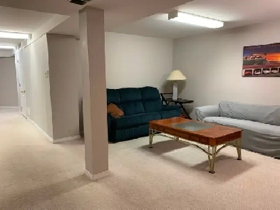 One BR available in 2 BR basement Eglington/Kennedy Mississauga