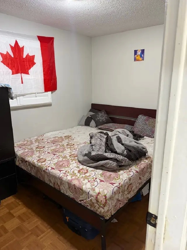 1 bedroom walk in  basement Brampton downtown