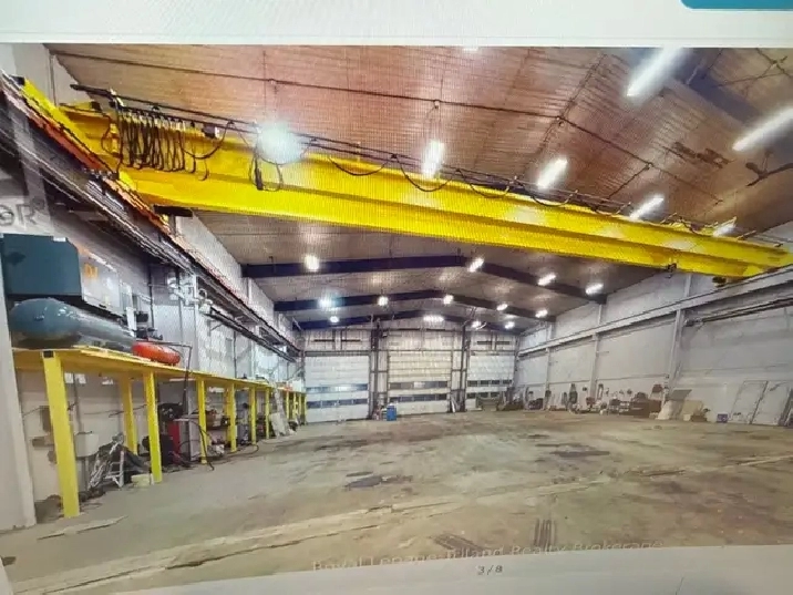 shop for rent