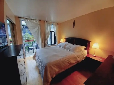 BELLE GRANDE CHAMBRE MEUBLÉE À LOUER - CENTRE VILLE / PLATEAU