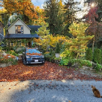 Character Nelson Home - For Sale