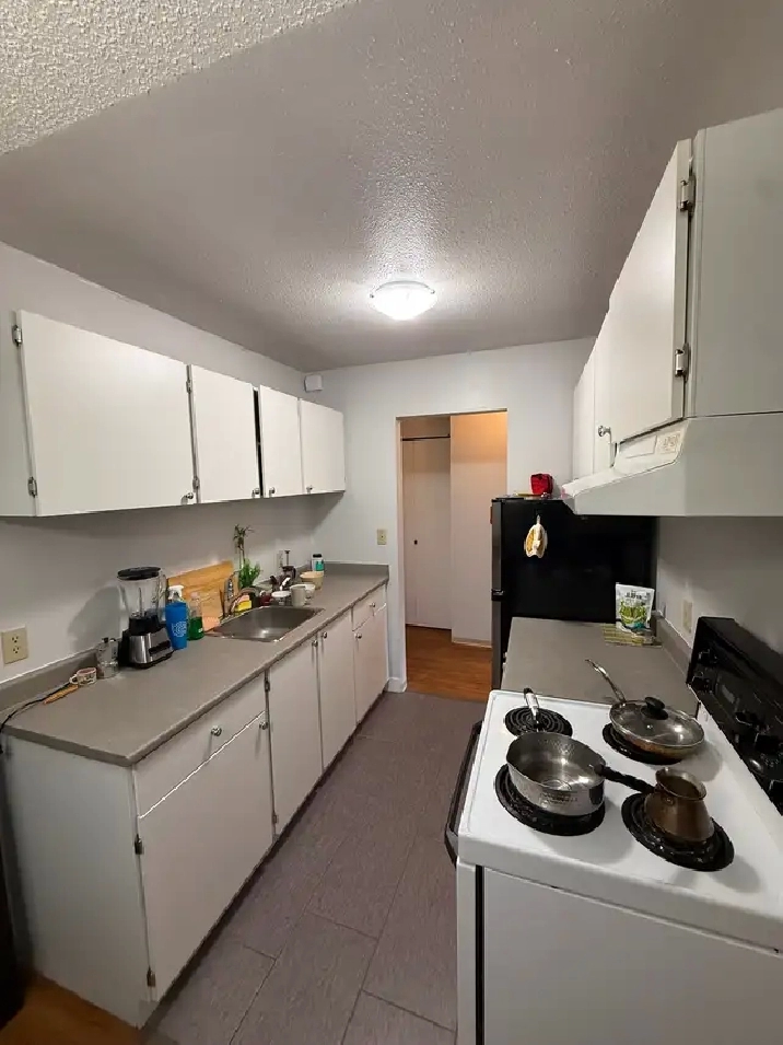 Private suite available for rent