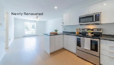 CEDAR GLEN// BRIGHT 2BD -DOG FRIENDLY- SEPTEMBER 15TH