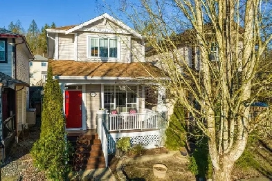Brand-New 1-Bed Basement Suite in Albion (Maple Ridge)