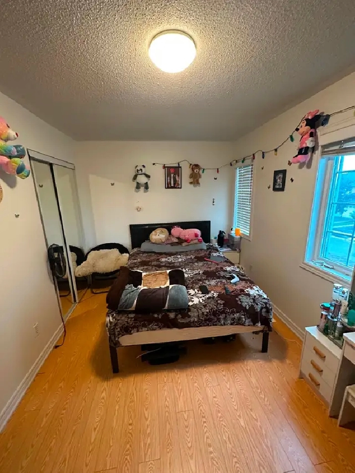 room for rent in brampton