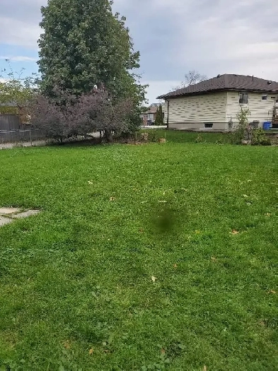 1 bedroom plus den large basement apartment in Collingwood