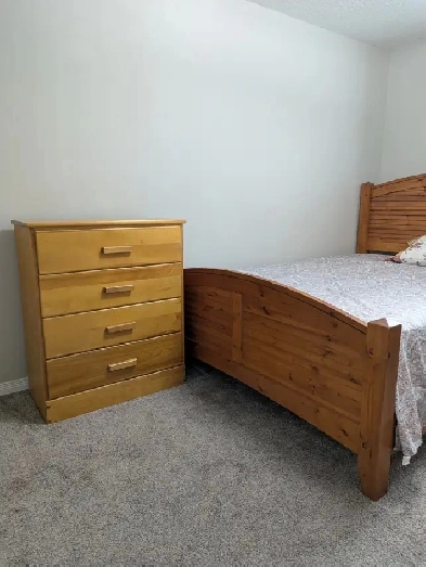 Roommate