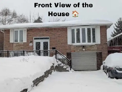 2-Bedroom Walkout Basement Apartment - All-Inclusive & Private