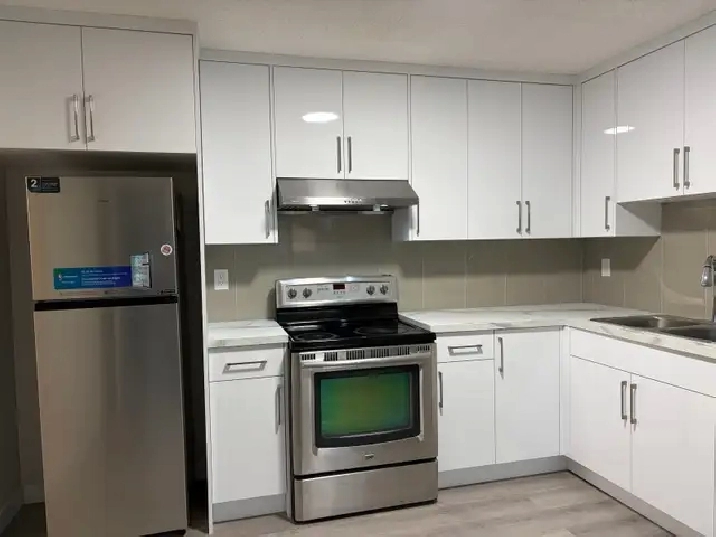 Newly Renovated Family Home for Rent – Abbeydale, NE Calgary