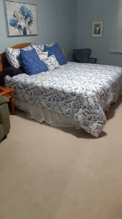 Fabulous Roommate/ Large Room to Rent/ Apt to Share!