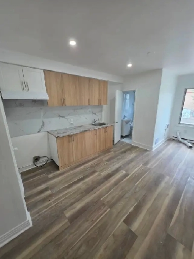 1 Bdrm Verdun- fully renovated