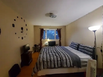 Bright & Furnished Room for rent for Male Carleton Students