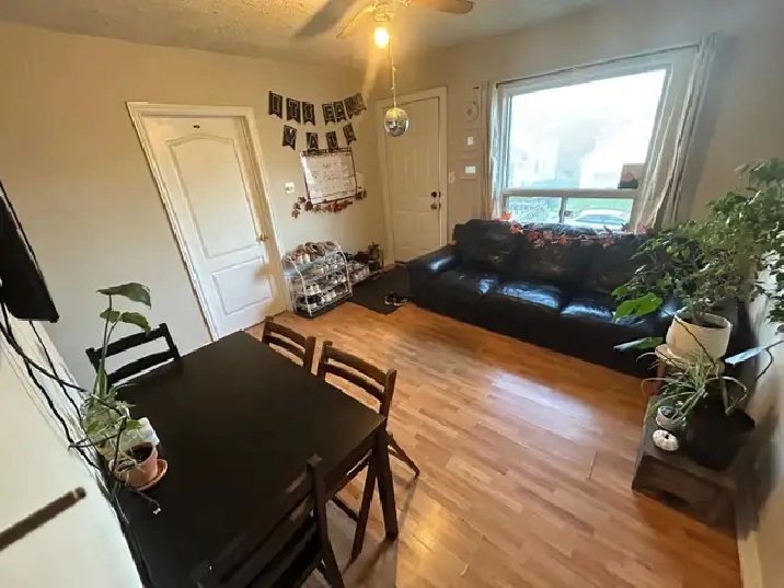 McMaster Student House - Female Only Short Term Rental