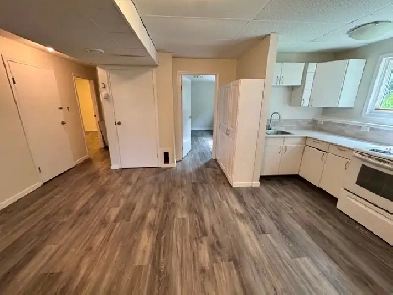 2 Bed, 1 Bath Basement Duplex