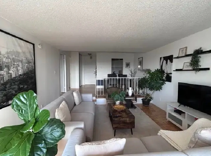 appartement 3 1/2 à louer