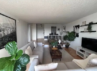 appartement 3 1/2 à louer
