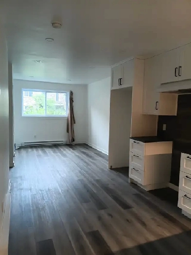 3 et demi longueuil, laveuse et secheu inclus ou non ds logement