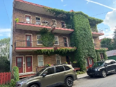 Superbe très grand 5 1/2, rez de chaussé, St-Sauveur, libre