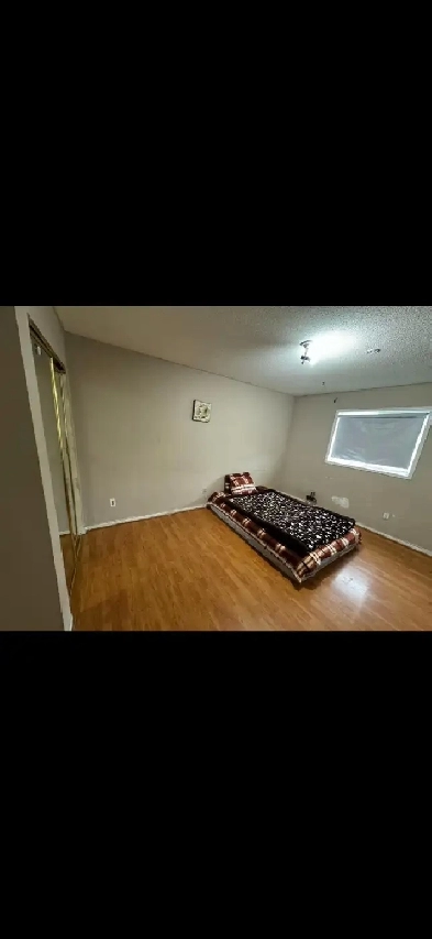 Basement & room for rent Brampton