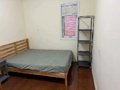 room for rent near York University