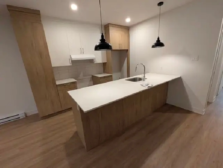 Beau  Grand 5  1/2  rue Prince-Albert