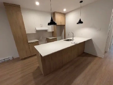 Beau  Grand 5  1/2  rue Prince-Albert