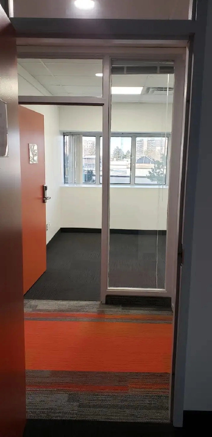 Professional Office for Solopreneur, Therapist, Professional!
