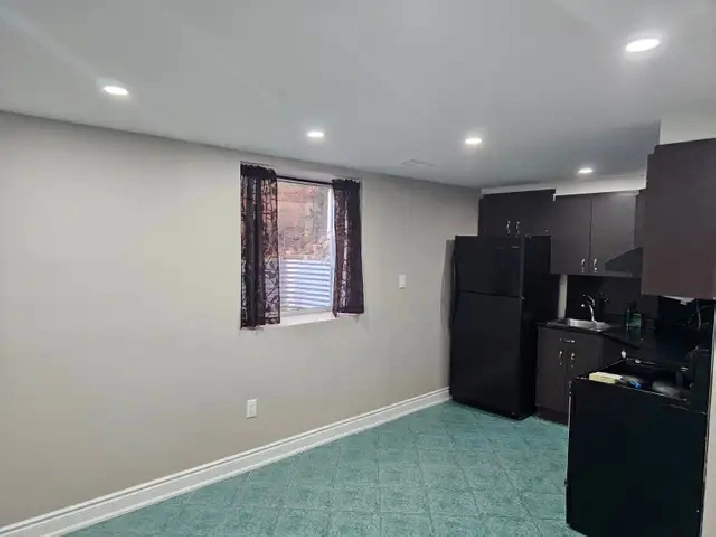 1 bedroom Legal walkout /basement apartment